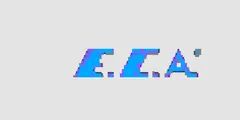 E.C.A.